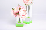 Green and Clear Acrylic Bloomin Petite Vase.