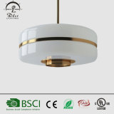 Dlss Lighting Glass Pendant Lamp with Ce/UL for Project