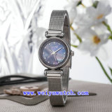 Promotion Watch Customize Luxury Wrist Watches (WY-017E)