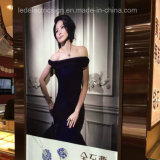 Jewelry Display Advertising Light Boxes