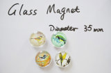 Souvenir Animial Glass Bead Magnet Gifts