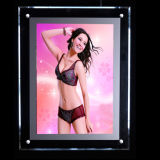 Acrylic Sheet with Crystal LED Light Box with Advertising Display