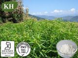 100% Natural Andrographis Paniculata Extract: Andrographolide 5%- 99% by HPLC; 5: 1