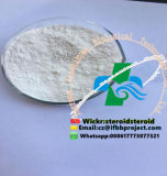 Selling White Crystal Powder Theobromine CAS: 83-67-0