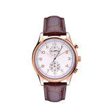 OEM Luxury New Style Hot Sale Japan Movement Quartz Wrist Watches