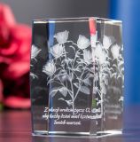 Green Plants for Crystal Glass Cube with 3D Laser Engraving