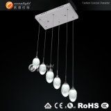 New Design China Lamp Manufacturer LED Acrylic Chandelier, Lighting Fitting (OM88178-6)