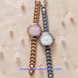 Custom Steel Wrist Watches of Japan Quartz Movement for Woman Ladies (WY-17002D)