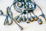 Globe String Lights with Clear Bulbs-UL Listed for Indoor/Outdoor Commercial Decor