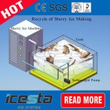 15tpd Quick Freeze Seawater Slurry Ice Machine on Ship, Fish Protection