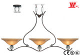 Metal Pendant Light with Glass Lampshades 4483-167b