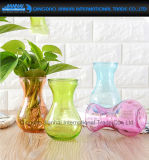 Colored Water Plant Furnishing Articles Glass Craft Floral Vase