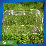 Cage Acrylic Pet Feeding Box Reptiles Pet Box