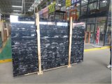 Silver Dargon Black White Veins Marble Countertop/Slabs/Tiles for Construction Project