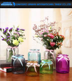 Hand-Blown Strip Spraying Color Glassware Vase for Hotel