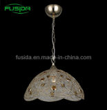 High Quality Iron Light in One Light Crystal (D-9331/1A)