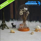 Wholesale Glass Domes and Glass Bell Jars for Cover Product