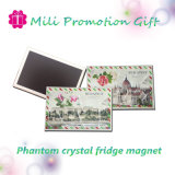Phantom Crystal 2015 Hot Item Magnet Fridge Magnet