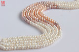 7-8-9mm Fashion Mixed Color Freshwater Pearl Strand Necklace (ES148-7)