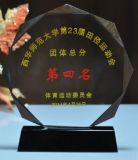 Custom Crystal Octagonal Trophy for Achievement Awards