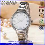 Woman Custom Watches Stainless Steel Wristwatch of Japan Quartz Movement (WY-17002B)