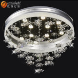 Ceiling Light Cover Ceiling Light Fixtures China Indoor Ceiling Lamp Om66131
