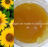 Honey, Top Honey, 100%Natural Organic Sunflower Honey, Pure Natural Ripe Honey, No Antibiotics, No Pesticides, No Pathogenic Bacteria, Prolong Life, Health