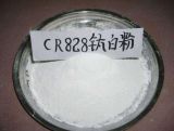 White Powder 99% Titanium Dioxide