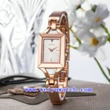 Watch Customize Watch OEM Alloy Stainless Steel Watch (WY-040C)