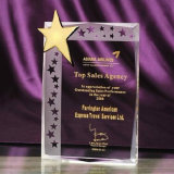 Hot Sales Crystal Glass Star Trophy Award for Business Gift
