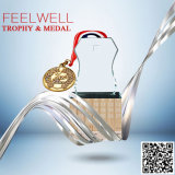 Feelwell Clear Glass Trophy with Scan 2017 Medal Catalog