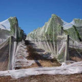Anti Hail Net for Protect Your Plant, Vegetables, Fruits, etc