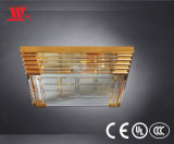 Modern Design Luxury Ceiling Lamp with Glass Dressed