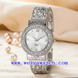 Custom Brand Watch ODM Stainless Steel Wrist Watch (WY-G17007C)