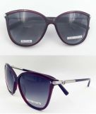 Crystal Color Acetate Sunglasses for Woman