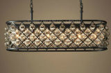 Modern Certification Decorative Pendant Light for Home or Hotel