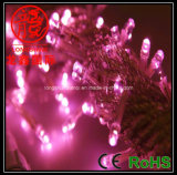 LED String Light Pink (LS-SD-10-100-M1)