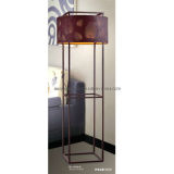 Modern and Fashion Iron Floor Lamp (ML-8026/B)