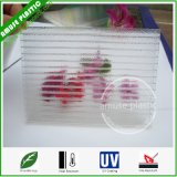 Clear Double Wall Plastic Polycarbonate PC Crystal Hollow Panel