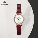 Elegant Small Dial Series Wrist Watch Fashion Ladies Watch 71324