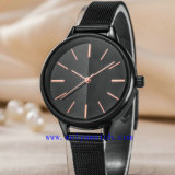 Custom Brand Watch Luxury Ladies Watches (WY-17051)