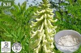 Natural Giant Typhonium Rhizome Extract 99% Cytisine