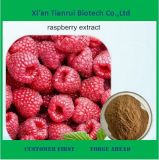 Best Price Raspberry Extract Powder for Sale