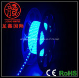 Outdoor LED Rope Light High Quality for Decoration