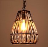 Metal Lanterms Pendant Lamp with Glass Shade Inside (WHP-9904)