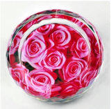 New Fashion Crystal Flower Ashtray for Home Decoration (JD-CA-612)
