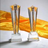 Customized Acrylic Trophy Crafts Crystal Awards Free Logo