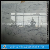 Crystal White Wave Marble for Countertops/Paving Stone/ Floor Tile