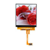 IPS Color 1.54-Inch LCD Watch TFT Display Fqvga Square TFT LCD Module Screen