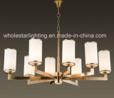 Modern Metal Chandelier with Clinder Glass Shade (WHG-6069)